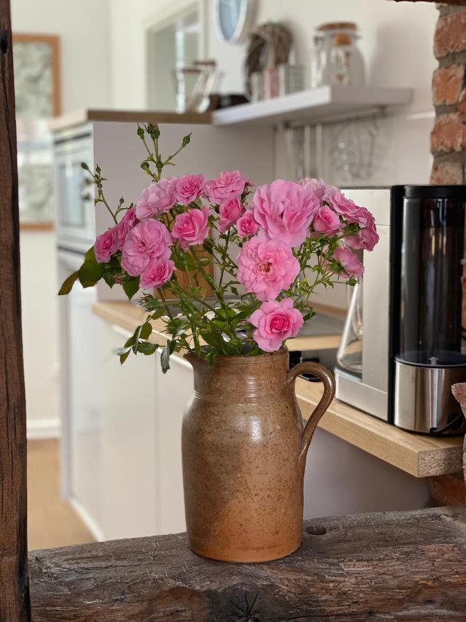 Altstadt Fereienwohnung Hameln Hamelin Eksteriør billede